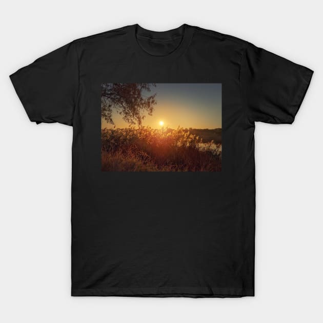 Evening silence at the lake T-Shirt by psychoshadow